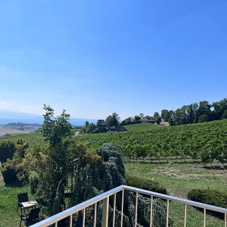 Villa Magnifique A Aubonne